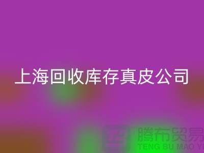 环保与创新：雷速-雷速app-雷速体育官网
库存真皮和羊皮的重要性_上海腾布贸易ecmudp.com