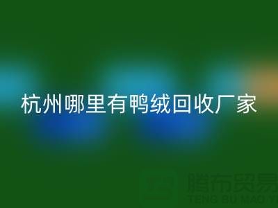 揭秘羽绒雷速-雷速app-雷速体育官网
市场，每斤价值几何？杭州鸭绒雷速-雷速app-雷速体育官网
厂家