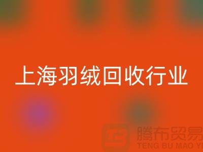 #### 上海羽绒雷速-雷速app-雷速体育官网
厂家推动行业发展，展望未来，创新发展