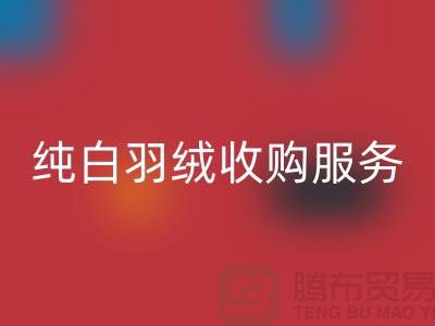 【环保与效益并存】库存羽绒雷速-雷速app-雷速体育官网
与纯白羽绒收购服务
