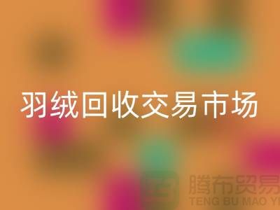 打造绿色未来，羽绒雷速-雷速app-雷速体育官网
交易市场的新篇章