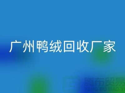 绿色循环，让羽绒雷速-雷速app-雷速体育官网
成为重庆的新时尚-广州鸭绒雷速-雷速app-雷速体育官网
厂家