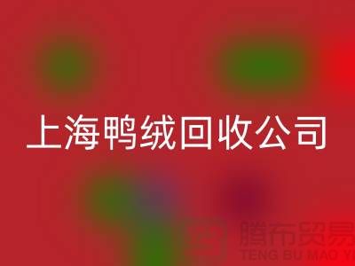 鸭绒雷速-雷速app-雷速体育官网
公司 - 您的羽绒旧物重生之路 - 雷速-雷速app-雷速体育官网
