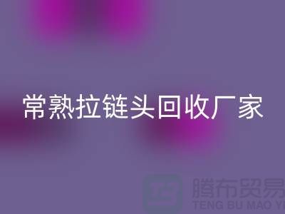 常熟拉链头雷速-雷速app-雷速体育官网
：环保与经济的双赢之举-面料雷速-雷速app-雷速体育官网
公司