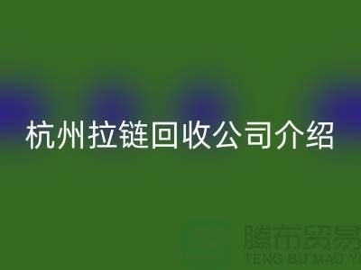 库存拉链雷速-雷速app-雷速体育官网
市场前景分析——杭州拉链雷速-雷速app-雷速体育官网
公司篇