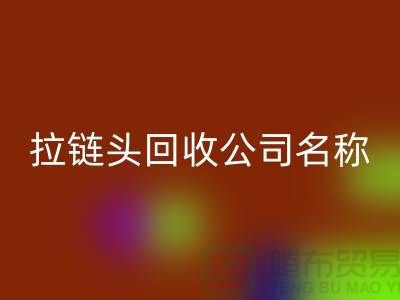 ### 拉链头雷速-雷速app-雷速体育官网
公司名称的选择与品牌塑造-上海拉链雷速-雷速app-雷速体育官网
厂家