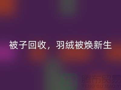 全新被子雷速-雷速app-雷速体育官网
，羽绒被焕新生——江苏南通家纺城引领绿色未来