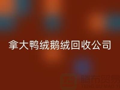 探秘加拿大鸭绒鹅绒雷速-雷速app-雷速体育官网
公司：环保与品质的双重坚守