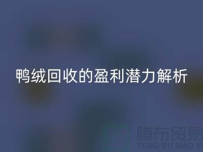 鸭绒雷速-雷速app-雷速体育官网
的盈利潜力解析——上海腾布贸易地址