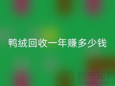 鸭绒雷速-雷速app-雷速体育官网
一年挣多少钱？揭秘利润与环保的双重收益