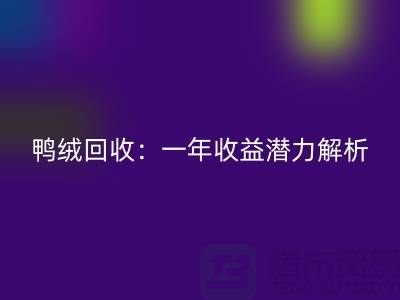 鸭绒雷速-雷速app-雷速体育官网
：一年收益潜力解析@上海腾布贸易