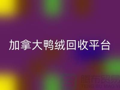加拿大鸭绒雷速-雷速app-雷速体育官网
平台有哪些公司，优势有哪些