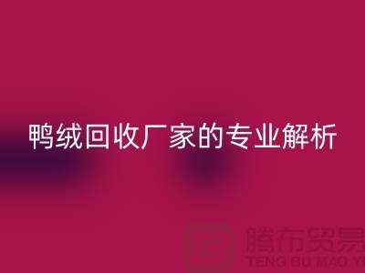 90%白鹅绒、90%白鸭绒与90%灰鸭绒：上海鸭绒雷速-雷速app-雷速体育官网
厂家的专业解析