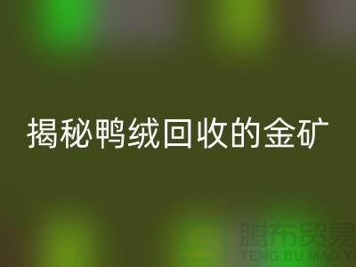 揭秘鸭绒雷速-雷速app-雷速体育官网
的金矿，一年能挣多少钱？上海羽绒雷速-雷速app-雷速体育官网
厂家