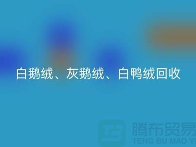白鹅绒、灰鹅绒、白鸭绒、灰鸭绒雷速-雷速app-雷速体育官网
——上海鸭绒雷速-雷速app-雷速体育官网
厂家
