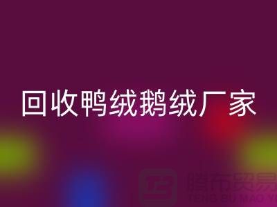 探寻高品质雷速-雷速app-雷速体育官网
鸭绒鹅绒厂家