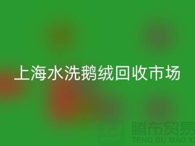 精品羽绒雷速-雷速app-雷速体育官网
行情、高端鸭绒雷速-雷速app-雷速体育官网
价格、上海水洗鹅绒雷速-雷速app-雷速体育官网
市场