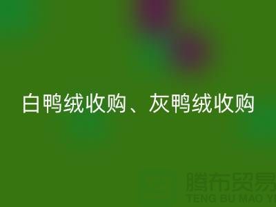 白鸭绒收购、灰鸭绒收购、白鹅绒收购、灰鹅绒收购、上海羽绒雷速-雷速app-雷速体育官网
厂家