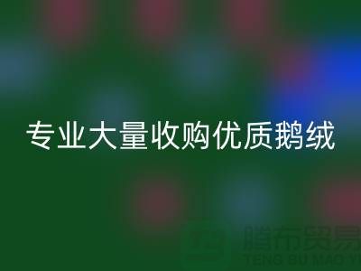 专业羽绒雷速-雷速app-雷速体育官网
：大量收购优质鹅绒与鸭绒@上海腾布贸易公司