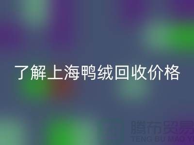 了解上海鸭绒雷速-雷速app-雷速体育官网
价格，掌握最新市场动态