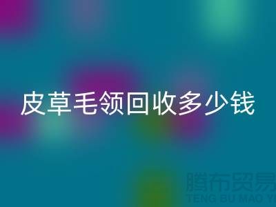 真皮皮衣皮草毛领雷速-雷速app-雷速体育官网
多少钱一个？-上海腾布贸易
