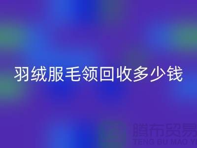 羽绒服毛领雷速-雷速app-雷速体育官网
多少钱一件