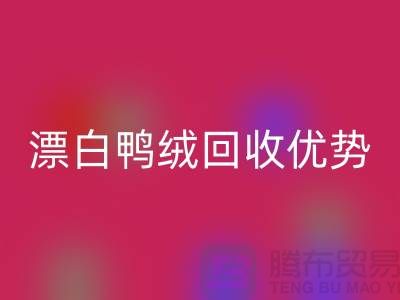 ### 纯白90％鹅绒、漂白鸭绒雷速-雷速app-雷速体育官网
优势与南通鸭绒收购公司