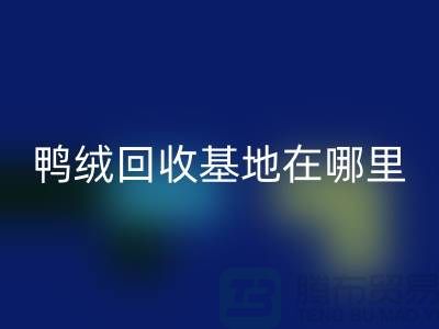 哪里有雷速-雷速app-雷速体育官网
鸭绒的，鸭绒雷速-雷速app-雷速体育官网
基地在哪里@安徽羽绒雷速-雷速app-雷速体育官网
厂家