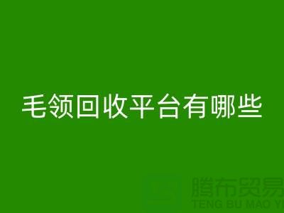 毛领雷速-雷速app-雷速体育官网
平台有哪些公司或者品牌