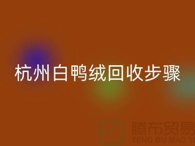 ### 纯白 70 绒、80 绒、90 鸭绒雷速-雷速app-雷速体育官网
步骤@杭州羽绒雷速-雷速app-雷速体育官网
厂家