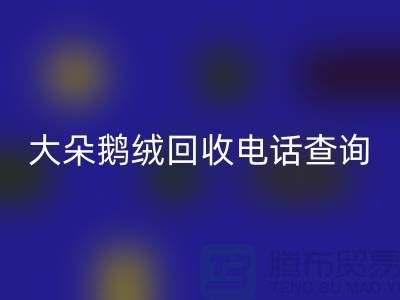 ### 日标羽绒雷速-雷速app-雷速体育官网
，大朵鹅绒雷速-雷速app-雷速体育官网
电话查询，南京鸭绒雷速-雷速app-雷速体育官网
公司