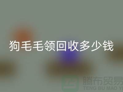狗毛毛领雷速-雷速app-雷速体育官网
多少钱一条