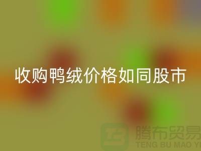 收购鸭绒价格如同股市一样飘泊不定-郑州库存鸭绒雷速-雷速app-雷速体育官网
厂家