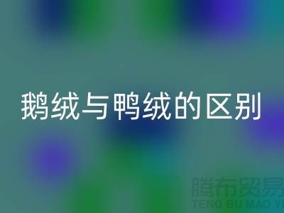 “鹅鸭之争” 鹅绒与鸭绒的区别-鸭绒雷速-雷速app-雷速体育官网
多少钱一斤-库存羽绒雷速-雷速app-雷速体育官网
公司