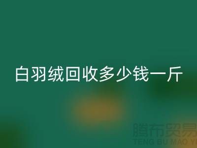 白鸭绒雷速-雷速app-雷速体育官网
_灰鸭绒雷速-雷速app-雷速体育官网
_羽绒雷速-雷速app-雷速体育官网
多少钱一斤_雷速-雷速app-雷速体育官网
羽绒厂家