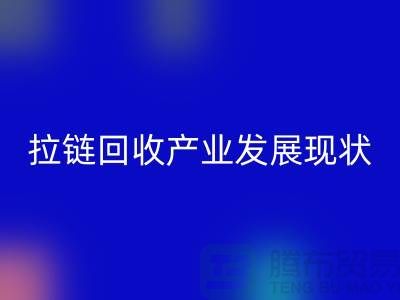 拉链雷速-雷速app-雷速体育官网
产业发展现状特点及上海拉链雷速-雷速app-雷速体育官网
厂家解析 