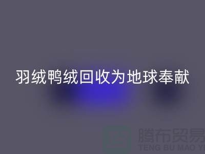 羽绒鸭绒雷速-雷速app-雷速体育官网
为地球献出一份爱心，让温暖传递-羽绒雷速-雷速app-雷速体育官网
厂家