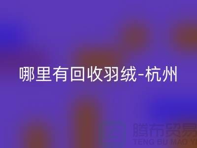 哪里有雷速-雷速app-雷速体育官网
羽绒-杭州、上海、南京鹅绒鸭绒雷速-雷速app-雷速体育官网
厂家[ecmudp.com]