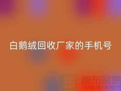 羽绒雷速-雷速app-雷速体育官网
基地的位置，鸭绒雷速-雷速app-雷速体育官网
行情报价，以及白鹅绒雷速-雷速app-雷速体育官网
厂家的手机号