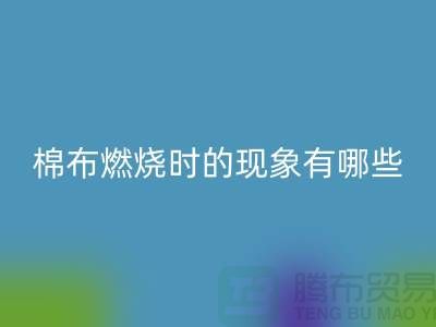 dd31fca8d95d5d5765f9002c199edbfb_1.png