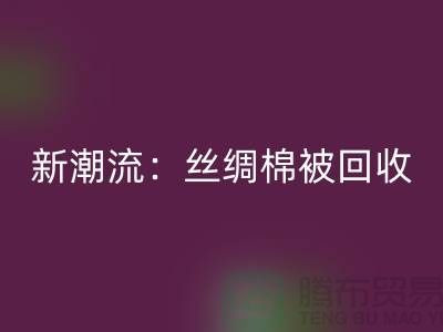 环保新潮流：丝绸棉被雷速-雷速app-雷速体育官网
，价格让您惊喜连连！