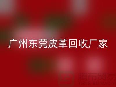 天然皮革与人造皮革是最大消费者市场-广州东莞皮革雷速-雷速app-雷速体育官网
厂家
