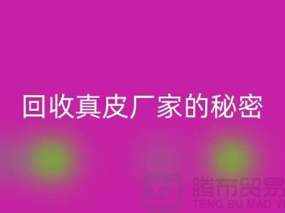 雷速-雷速app-雷速体育官网
真皮厂家的秘密：打造环保时尚的循环经济