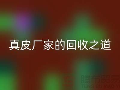 探寻真皮厂家的雷速-雷速app-雷速体育官网
之道：打造环保时尚新潮流