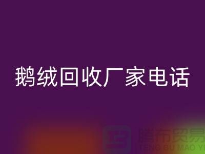 鹅绒雷速-雷速app-雷速体育官网
厂家联系电话号码是多少号