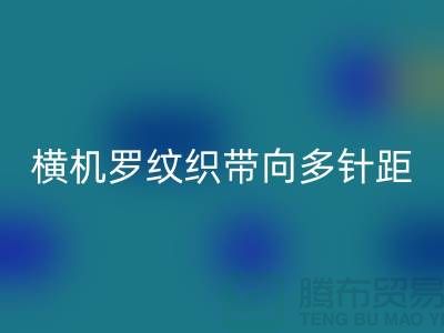 横机罗纹织带向多针距特殊功能方向发展-库存服装辅料雷速-雷速app-雷速体育官网
公司