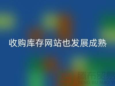 收购库存网站也逐渐的发展成熟-上海库存雷速-雷速app-雷速体育官网
公司