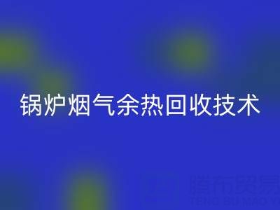 锅炉烟气余热雷速-雷速app-雷速体育官网
技术的现状和发展趋势