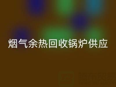 烟气余热雷速-雷速app-雷速体育官网
锅炉供应商盘点：行业领先企业及技术解析
