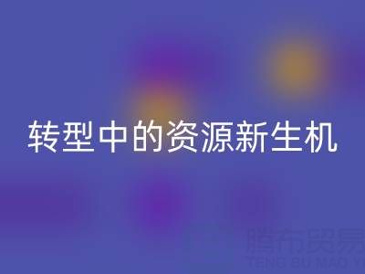 上海服装面料雷速-雷速app-雷速体育官网
：绿色转型中的资源新生机